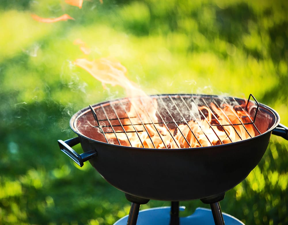 10 Must-haves At Your Low-Protein Friendly Barbeque